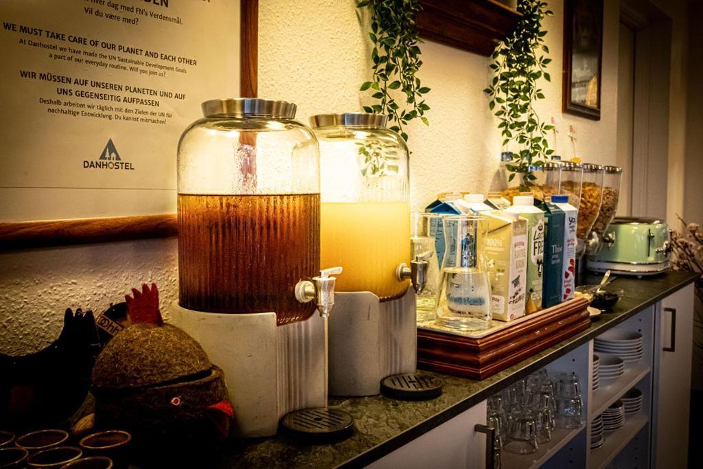 Givskud Zoo Hostel 외부 사진