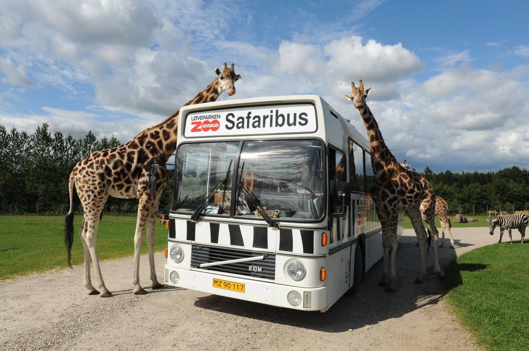 Givskud Zoo Hostel 외부 사진