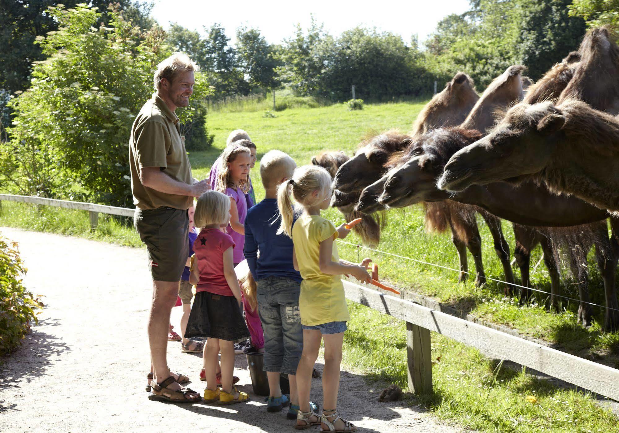 Givskud Zoo Hostel 외부 사진